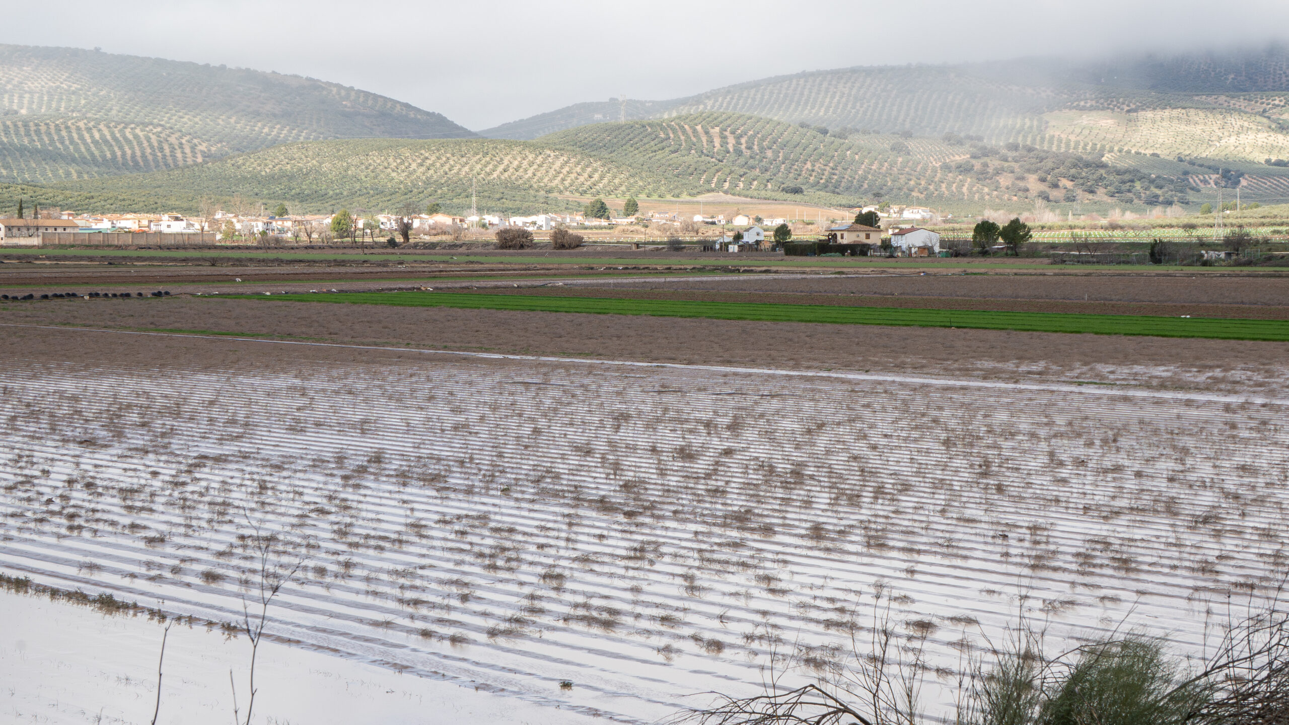 Los agricultores y ganaderos comienzan a recibir los pagos de las ayudas del Gobierno por las borrascas