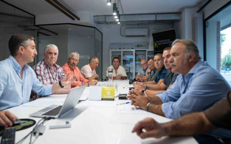 La DOP Montes de Granada prepara la campaña 2026/27 con el objetivo de seguir reforzando la calidad y promoción de sus AOVEs